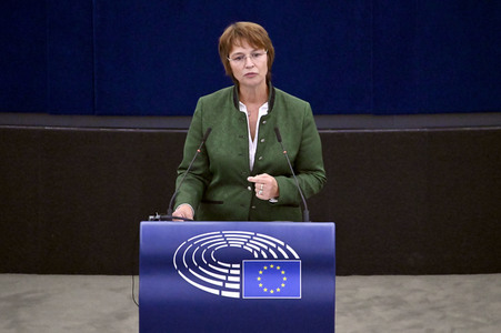 Plenartagung zur EU-Waldstrategie für 2030 im EU-Parlament in Straßburg