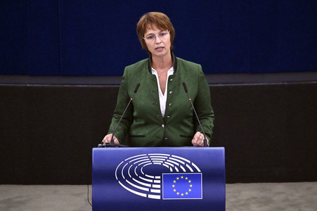 Plenartagung zur EU-Waldstrategie für 2030 im EU-Parlament in Straßburg