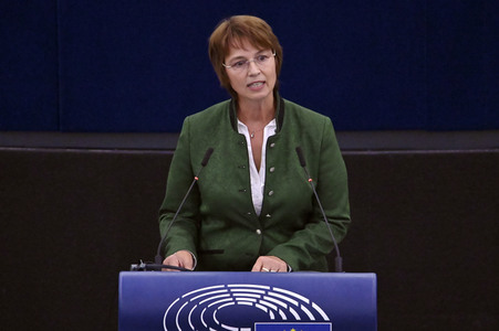 Plenartagung zur EU-Waldstrategie für 2030 im EU-Parlament in Straßburg