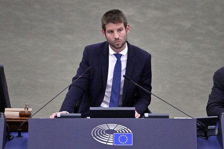 Plenartagung zur EU-Waldstrategie für 2030 im EU-Parlament in Straßburg