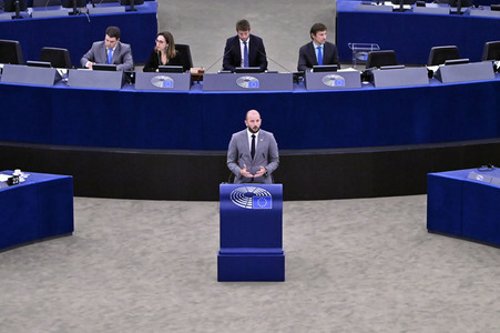 Plenartagung zur EU-Waldstrategie für 2030 im EU-Parlament in Straßburg