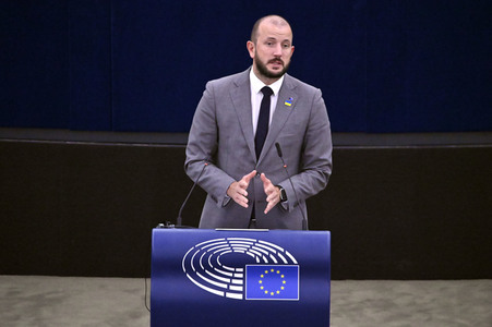 Plenartagung zur EU-Waldstrategie für 2030 im EU-Parlament in Straßburg