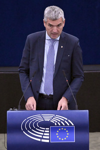 Plenartagung zur EU-Waldstrategie für 2030 im EU-Parlament in Straßburg