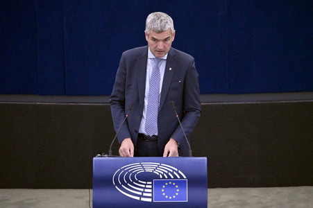 Plenartagung zur EU-Waldstrategie für 2030 im EU-Parlament in Straßburg