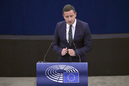 Plenartagung zur EU-Waldstrategie für 2030 im EU-Parlament in Straßburg