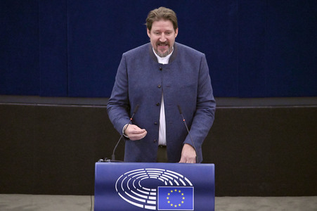 Plenartagung zur EU-Waldstrategie für 2030 im EU-Parlament in Straßburg