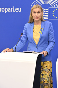 Pressekonferenz zu erneuerbaren Energien im EU-Parlament in Straßburg