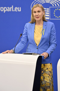 Pressekonferenz zu erneuerbaren Energien im EU-Parlament in Straßburg