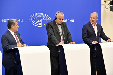 Pressekonferenz zur Bedrohung durch ISIS im EZ-Parlament in Straßburg