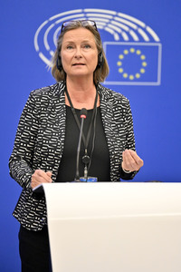 Pressekonferenz zum Verhalten Ungarns im EU-Parlament in Straßburg