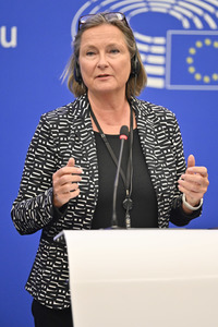 Pressekonferenz zum Verhalten Ungarns im EU-Parlament in Straßburg