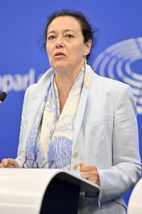 Pressekonferenz zum Verhalten Ungarns im EU-Parlament in Straßburg