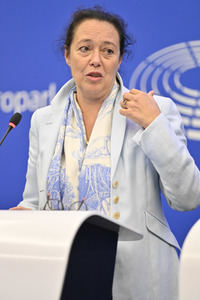 Pressekonferenz zum Verhalten Ungarns im EU-Parlament in Straßburg