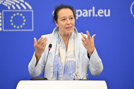 Pressekonferenz zum Verhalten Ungarns im EU-Parlament in Straßburg