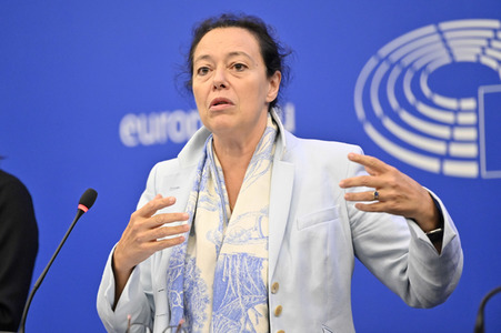 Pressekonferenz zum Verhalten Ungarns im EU-Parlament in Straßburg