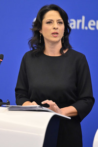 Pressekonferenz zum Verhalten Ungarns im EU-Parlament in Straßburg