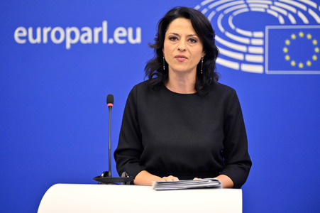 Pressekonferenz zum Verhalten Ungarns im EU-Parlament in Straßburg