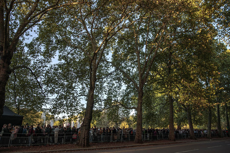 Menschenmassen warten darauf einen Blick auf den Sarg der Queen werfen zu können in London