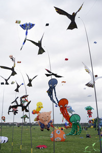 Festival der Riesendrachen in Berlin