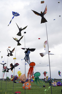 Festival der Riesendrachen in Berlin