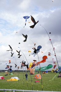 Festival der Riesendrachen in Berlin