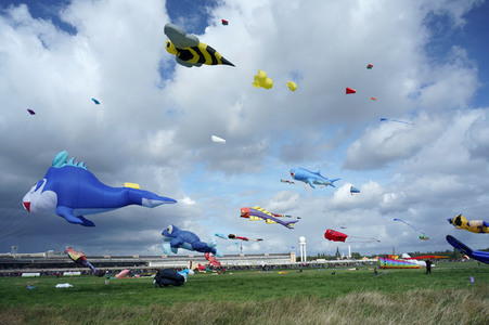 Festival der Riesendrachen in Berlin