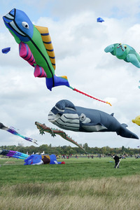 Festival der Riesendrachen in Berlin