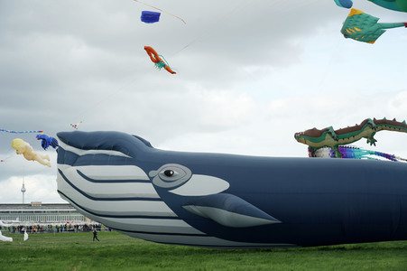 Festival der Riesendrachen in Berlin
