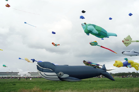 Festival der Riesendrachen in Berlin