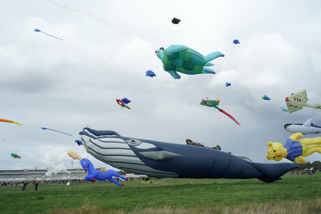 Festival der Riesendrachen in Berlin