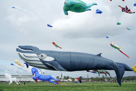 Festival der Riesendrachen in Berlin
