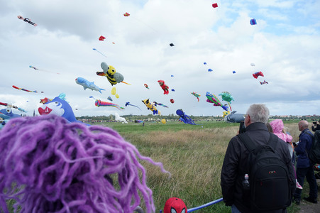 Festival der Riesendrachen in Berlin