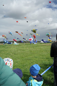 Festival der Riesendrachen in Berlin
