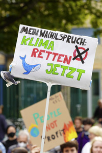 11. Globaler Klimastreik von Fridays for Future in Hannover