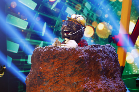 TV-Show 'The Masked Singer' in Köln