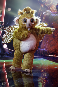 TV-Show 'The Masked Singer' in Köln