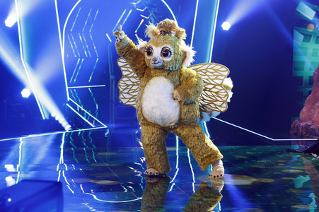 TV-Show 'The Masked Singer' in Köln