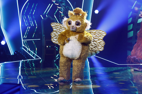 TV-Show 'The Masked Singer' in Köln