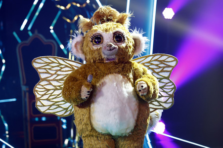 TV-Show 'The Masked Singer' in Köln