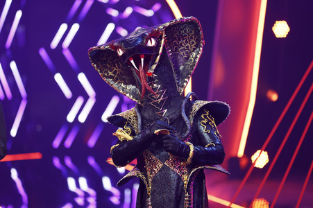TV-Show 'The Masked Singer' in Köln