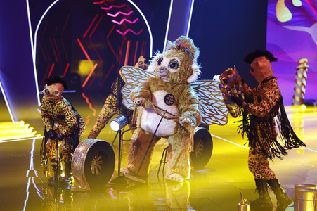 TV-Show 'The Masked Singer' in Köln