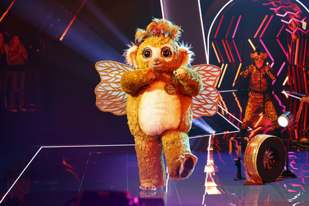 TV-Show 'The Masked Singer' in Köln