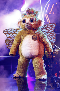 TV-Show 'The Masked Singer' in Köln