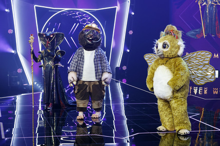 TV-Show 'The Masked Singer' in Köln