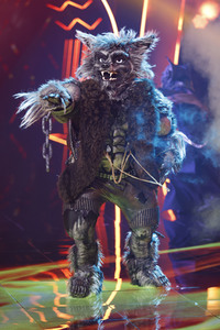 TV-Show 'The Masked Singer' in Köln