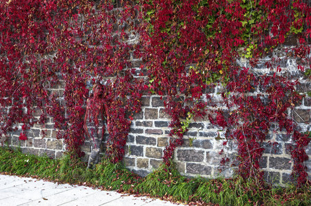 NATURE ART: Red Color Wall Bodypainting