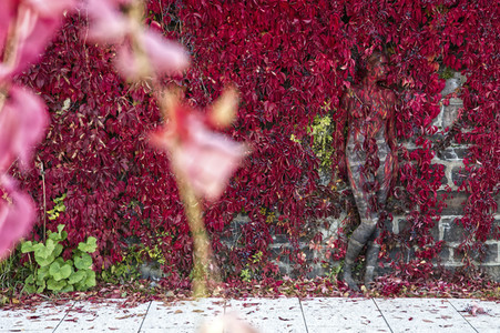 NATURE ART: Red Color Wall Bodypainting