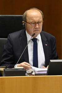 Plenartagung zu Rassismus in der EU im EU-Parlament in Brüssel