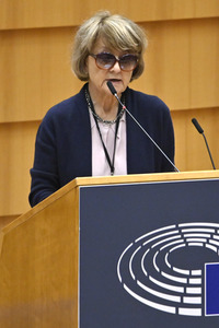 Plenartagung zum Ergebnis der Modernisierung des Vertrags über die Energiecharta im EU-Parlament in Brüssel