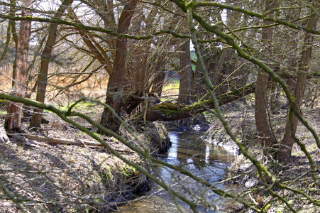FARBKÖRPER Kalender 2023: Camouflage Art-Bodypainting